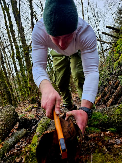 person with an axe, chopping wood