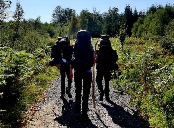 3 personen van achter gefotografeerd op een bospad